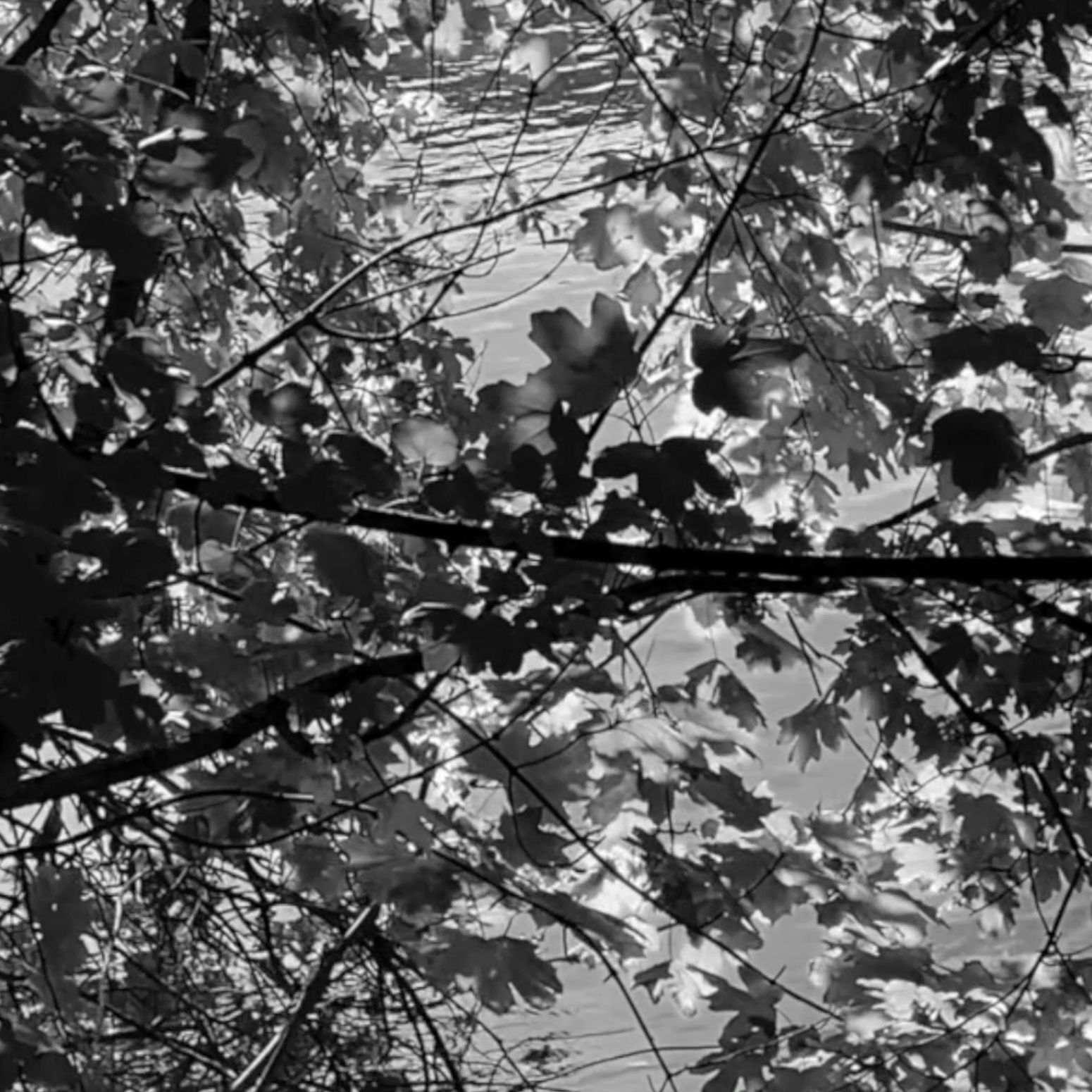 web5