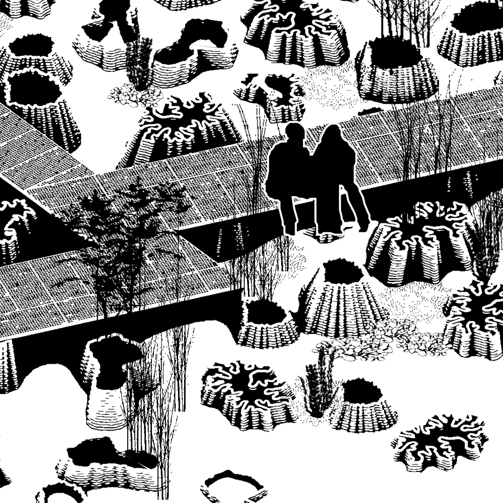 TerraNova